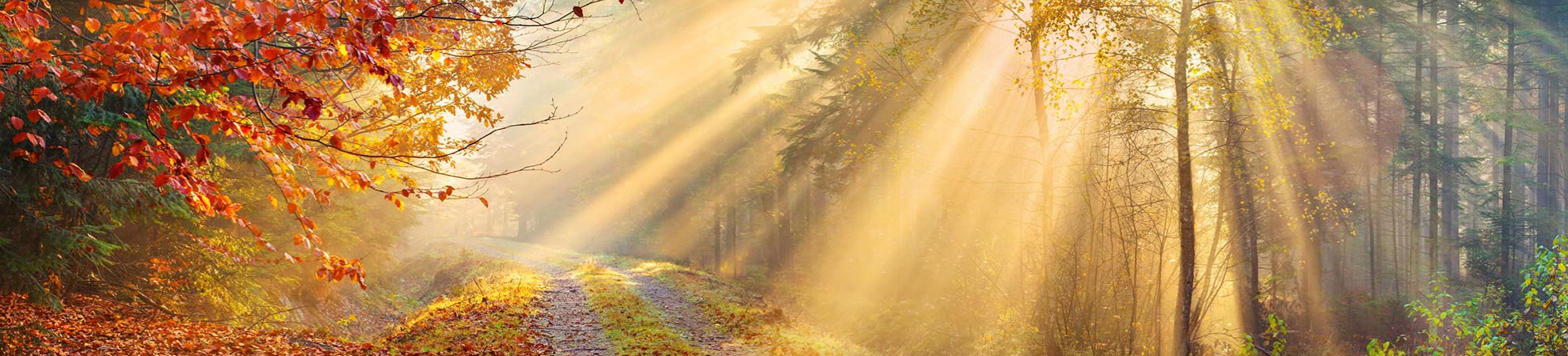 promoheaderimage_5a9db2d433286